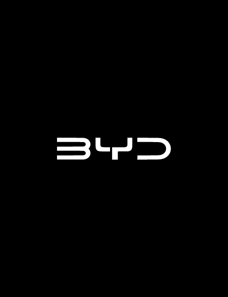 codes-delivery-byd